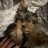 Danil_Belov